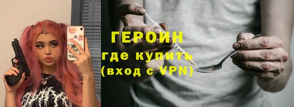 сатива Новозыбков