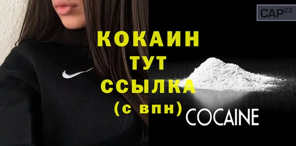 шишки Баксан