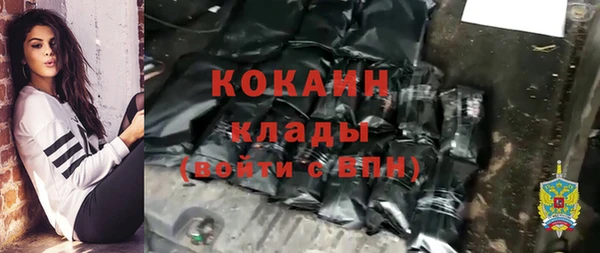 шишки Баксан